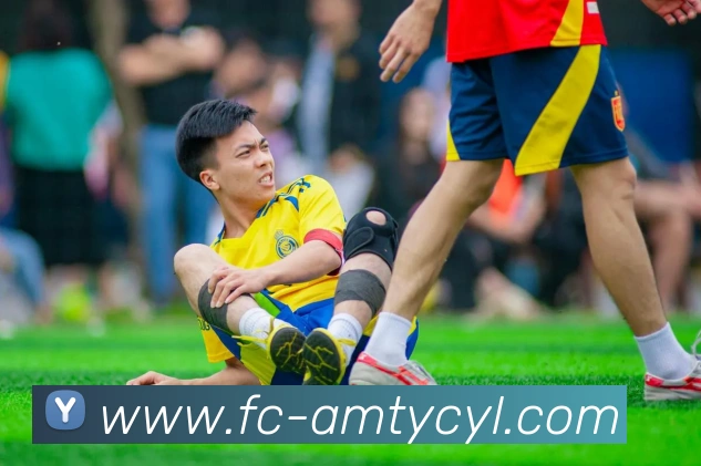 澳门太阳城平台生态图